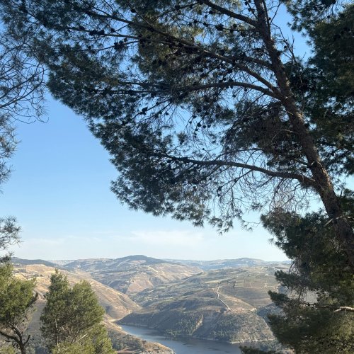 Фотография Фотографии