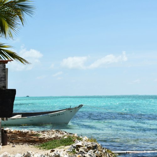 Фотография Фотографии