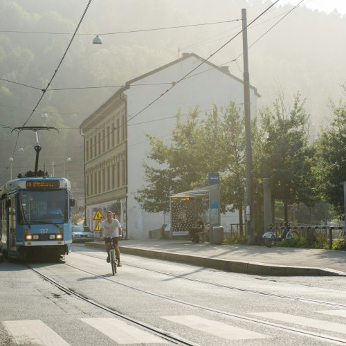 Фотография Фотографии