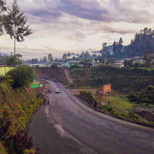 Фотография Фотогалерея