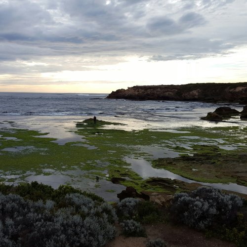 Фотография Фотографии