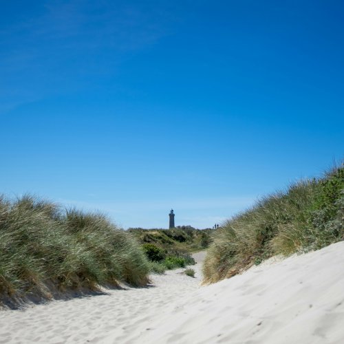 Фотография Фотографии