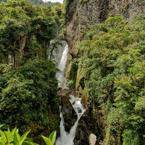 Фотография Фотографии