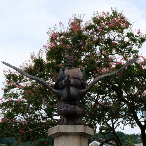 Фотография Фотографии