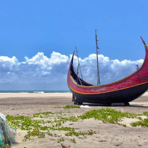 Фотография Фотографии