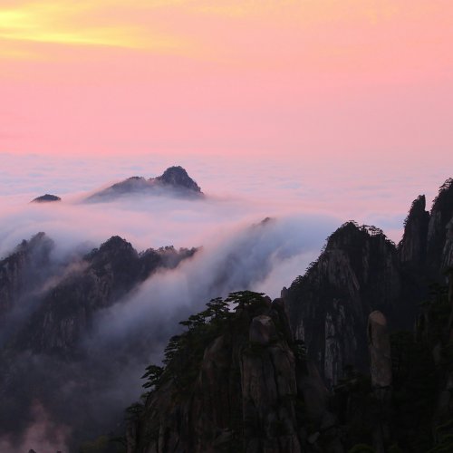 Фотография Фотографии