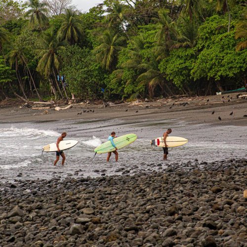 Фотография Фотогалерея