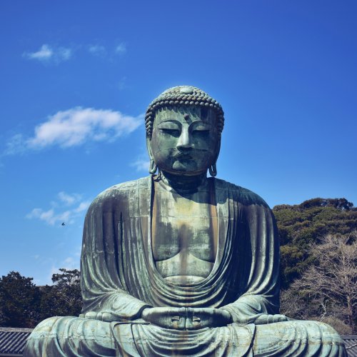 Фотография Фотографии