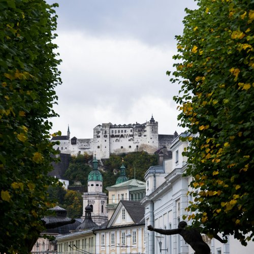 Фотография Фотогалерея