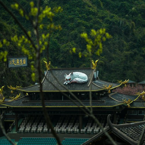 Фотография Гора Тяньмэнь (Tianmen Mountain), Чжанцзяцзе