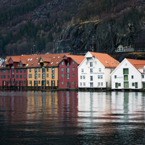 Фотография Фотографии