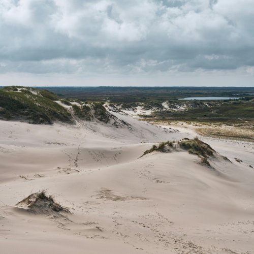 Фотография Фотографии