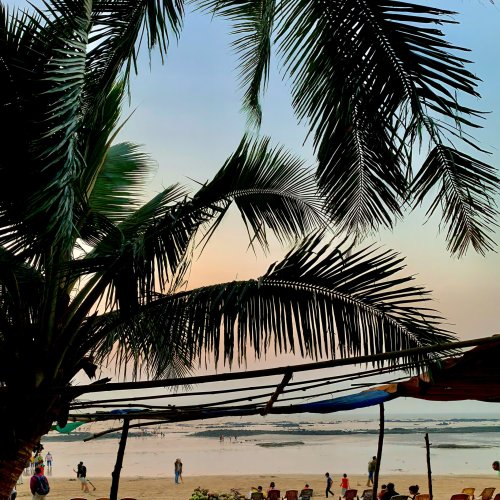 Фотография Фотографии