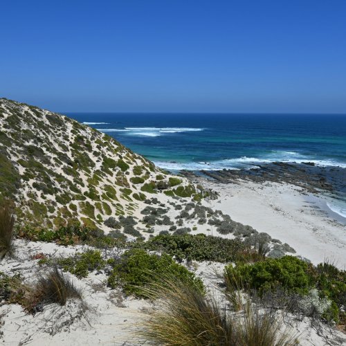 Фотография Фотографии