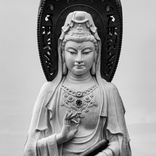 Фотография Фотографии