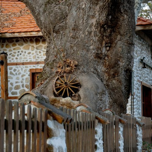 Фотография Фотографии