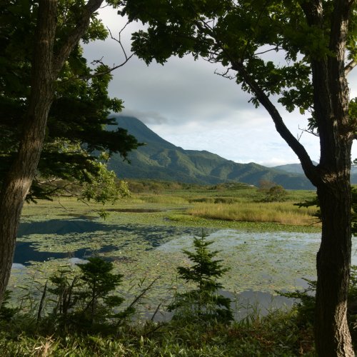 Фотография Фотографии