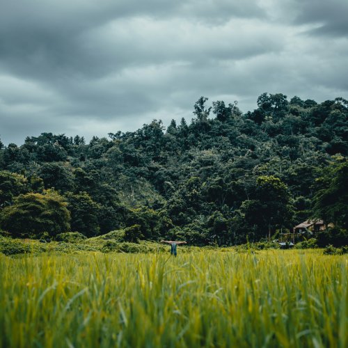 Фотография Фотографии