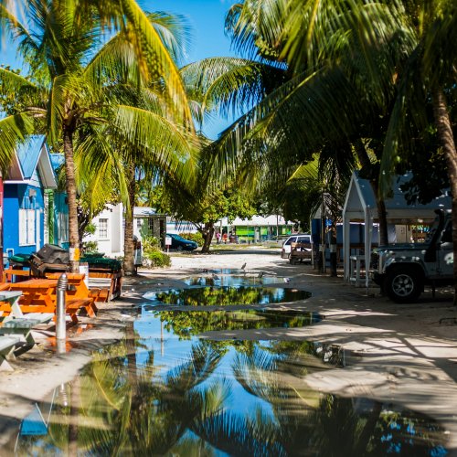 Фотография Фотогалерея