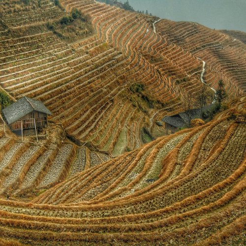 Фотография Фотографии