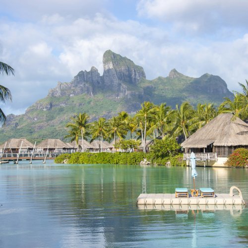 Фотография Фотогалерея