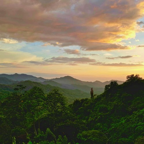 Фотография Фотогалерея