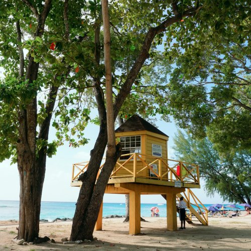 Фотография Фотогалерея