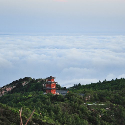 Фотография Фотографии