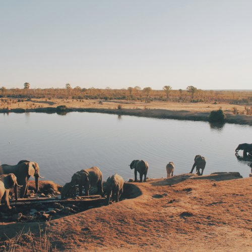 Фотография Фотогалерея