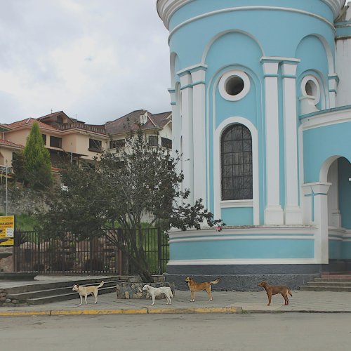 Фотография Фотографии