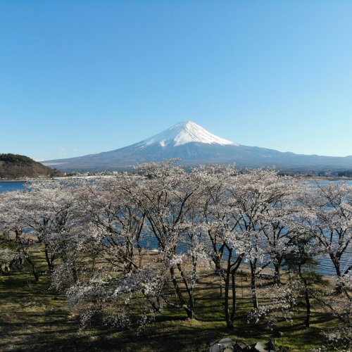 Фотография Фотографии