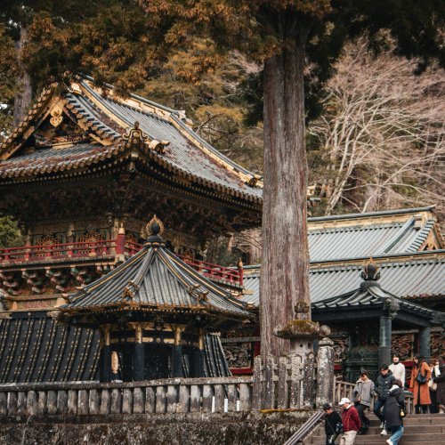 Фотография Фотографии