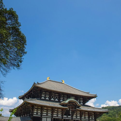 Фотография Тодай-дзи (Большой Будда Нары)