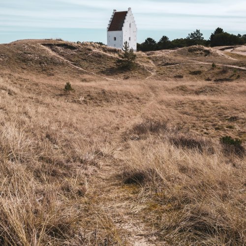 Фотография Фотографии