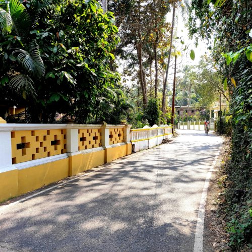 Фотография Фотографии