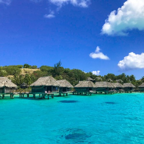 Фотография Фотогалерея