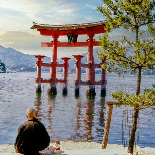 Фотография Фотографии