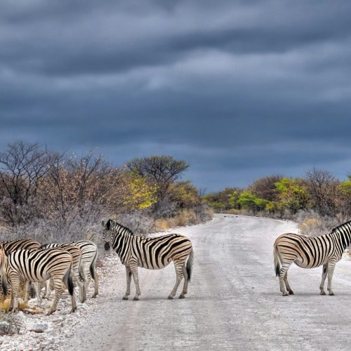 Фотография Фотогалерея