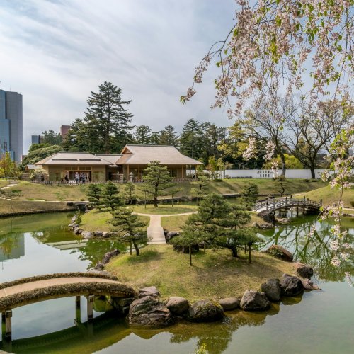 Фотография Фотографии