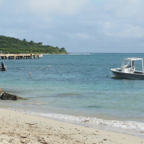 Фотография Фотогалерея