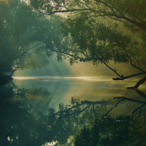 Фотография Фотографии