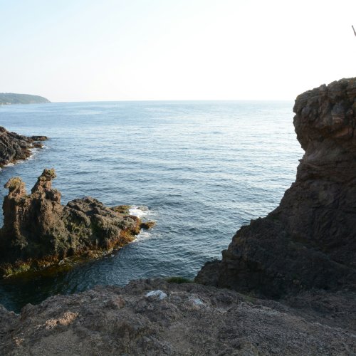 Фотография Фотографии