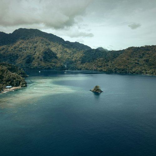 Фотография Фотогалерея