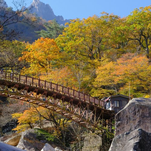 Фотография Фотографии