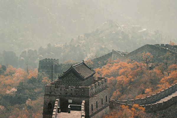 Фотография Фотографии