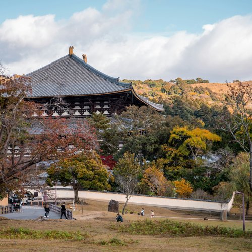 Фотография Фотографии