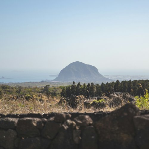 Фотография Фотографии