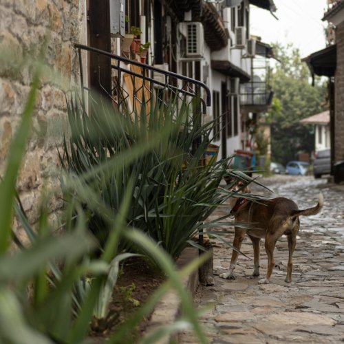 Фотография Фотографии