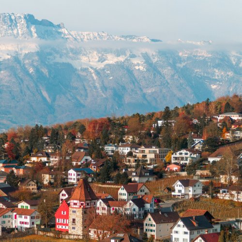 Фотография Фотогалерея