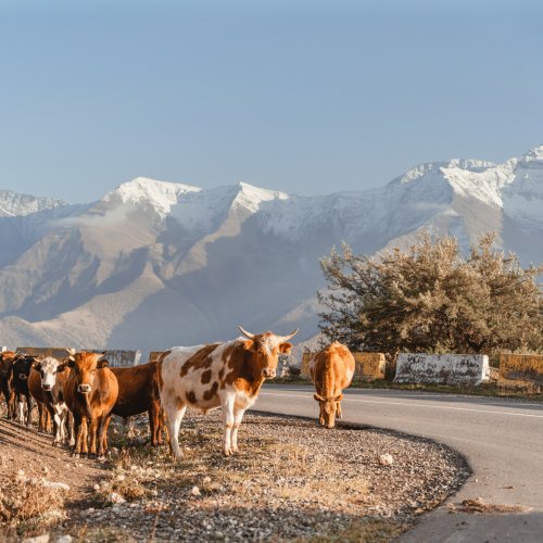 Фотография Фотографии